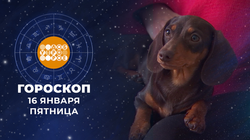 Гороскоп на 16 января. Доброе утро. Фрагмент выпуска от 16.01.2026