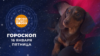 Гороскоп на 16 января. Доброе утро. Фрагмент