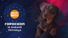 Гороскоп на 16 января. Доброе утро. Фрагмент