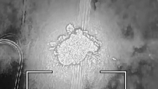 Российские военные освободили населенные пункты Закотное и Октябрьское в зоне проведения СВО