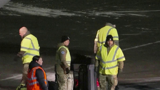 На защиту Гренландии от США из европейских стран отправятся чуть больше 30 военных