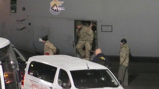 Европа направит на защиту Гренландии чуть больше 30 военных