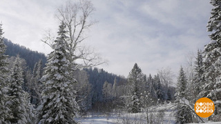 Подморозило? Доброе утро. Суббота. Фрагмент 