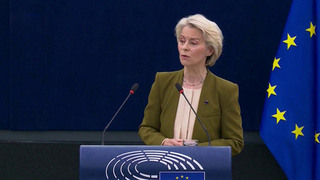 Европа выступила единым фронтом против Дональда Трампа из-за Гренландии