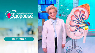 Камни в почках; снижаем холестерин без таблеток; ретинол. Здоровье