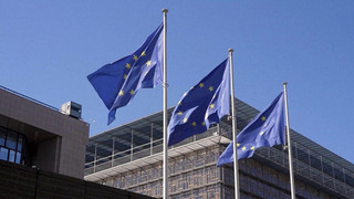 Евросоюз готов принять решительные меры против США из-за позиции Трампа по Гренландии