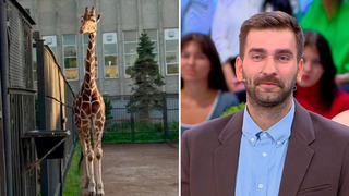 «Принял решение опекать жирафа» — жених шоу «Давай поженимся!» рассказал о своем хобби