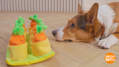 Собака, давай с тобой играть! Доброе утро. Фрагмент 