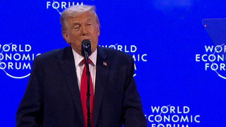 Трамп раскрыл, кто должен был заниматься разрешением украинского кризиса