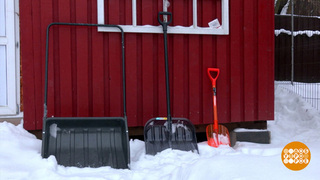 Бери больше, кидай дальше! А какой лопатой? Доброе утро. Фрагмент 