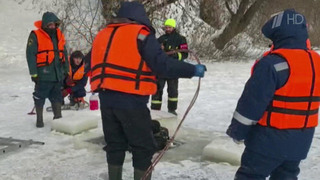 Спасатели из нескольких регионов ищут двоих детей в Брянске