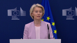 Урсула фон дер Ляйен призвала превратить Украину в «стального дикобраза»