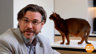 «Новый налог» от мошенников. Доброе утро. Фрагмент 