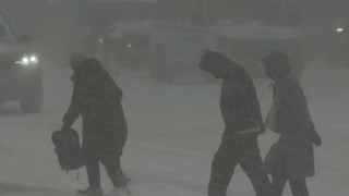 Аэропорт Вашингтона остановил работу из-за снежной бури