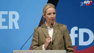 Партия «Альтернатива для Германии» в случае победы на выборах потребует от Киева компенсацию