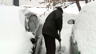 Столичный регион вновь во власти сильного снегопада