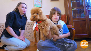 Как подружить ребенка и собаку. Доброе утро. Фрагмент 