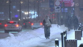 Снегопад в столичном регионе бьет рекорды — сугробы уже полметра