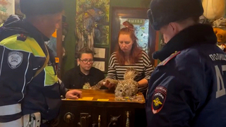 Полицейские спасли раненую сову на трассе в Иркутской области