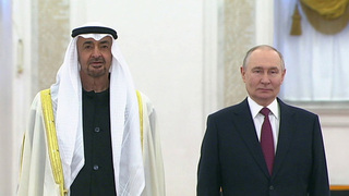 В Кремле проходят переговоры Владимира Путина с президентом ОАЭ