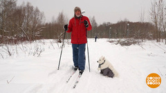 Лыжная прогулка с пользой для здоровья. Доброе утро. Фрагмент 