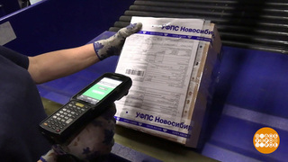 Ау, посылка! Ты где? Доброе утро. Фрагмент 