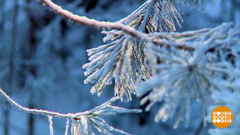 О чем поет снег. Доброе утро. Фрагмент выпуска от 30.01.2026