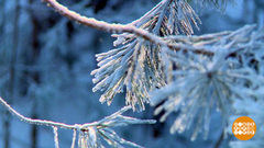 О чем поет снег. Доброе утро. Фрагмент 