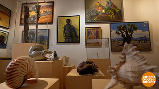 «Заграница – это миф?!». Путешествие во времени и пространстве. Доброе утро. Фрагмент