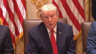 Владимир Путин согласился с просьбой Дональда Трампа на неделю прекратить удары по Киеву до 1 февраля