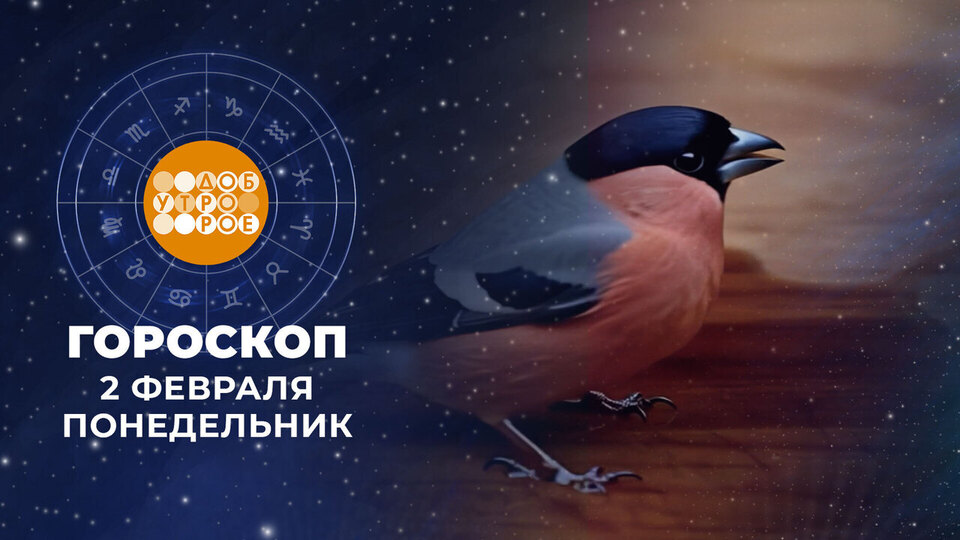 Гороскоп на 2 февраля. Доброе утро. Фрагмент выпуска от 02.02.2026