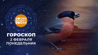 Гороскоп на 2 февраля. Доброе утро. Фрагмент