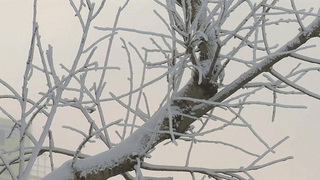 В Центральной России сильные морозы продержатся еще несколько дней