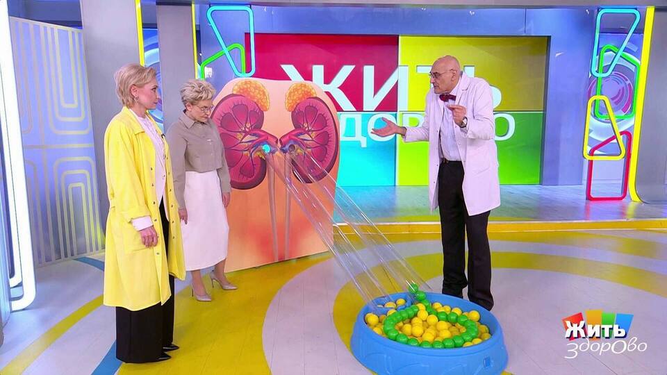 Пиелонефрит — как не упустить момент? Жить здорово! Фрагмент выпуска от 04.02.2026
