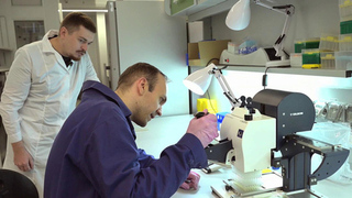 Объявлены лауреаты премии президента в области науки и инноваций для молодых ученых