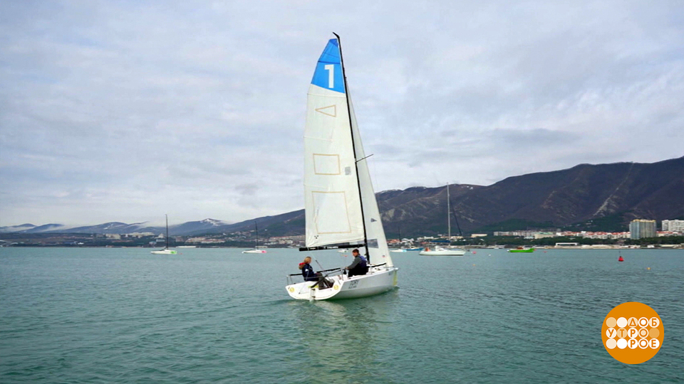 Ветер, ветер! Ты могуч… А как тебя зовут? Доброе утро. Фрагмент выпуска от 06.02.2026