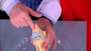 Эликсир молодости для суставов: врачи в «Жить здорово!» приготовили напиток для укрепления костей