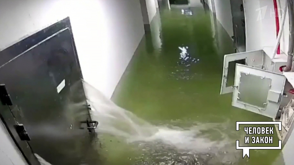 Видео недели: месть автомобилиста; гепарды-футболисты; волк-воришка; «Титаник» по-хабаровски. Человек и закон. Фрагмент выпуска от 06.02.2026