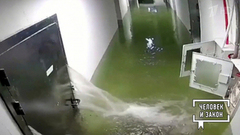 Видео недели: месть автомобилиста; гепарды-футболисты; волк-воришка; «Титаник» по-хабаровски. Человек и закон. Фрагмент