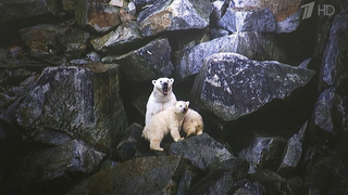В Москве до 6 марта будет работать фестиваль уникальных фотографий «Первозданная Россия»