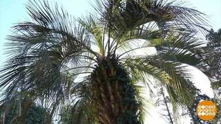 Где начинаются субтропики? Доброе утро. Суббота. Фрагмент 