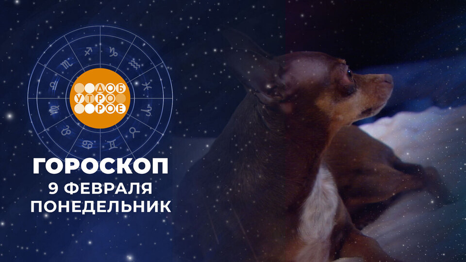 Гороскоп на 9 февраля. Доброе утро. Фрагмент выпуска от 09.02.2026