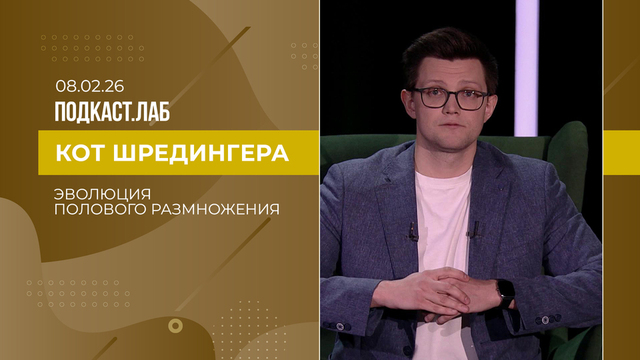 Кот Шредингера. Эволюция полового размножения и отношения полов. Выпуск от 08.02.2026