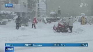 В Токио произошел транспортный коллапс из-за снегопада: видео