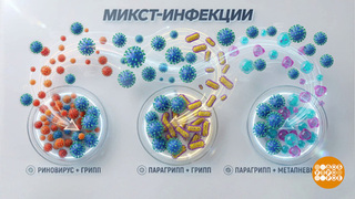Коктейль из вирусов? Спасибо, не надо! Доброе утро. Фрагмент 