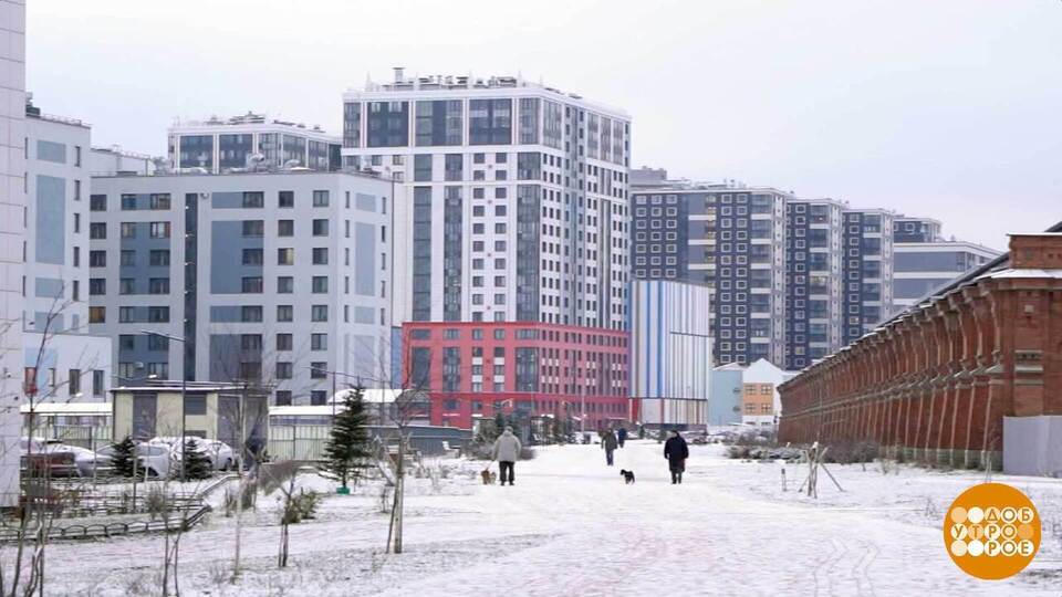 Апартаменты: жить можно… И даже прописаться! Доброе утро. Фрагмент выпуска от 11.02.2026