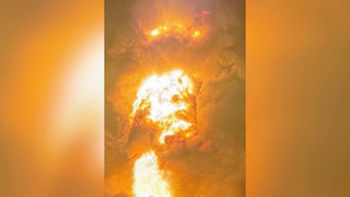 В зоне спецоперации наши войска улучшили положение почти на всех участках фронта