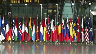 НАТО будет финансировать армию Украины и после завершения конфликта