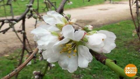 Климат, странный ты какой-то... Доброе утро. Фрагмент 