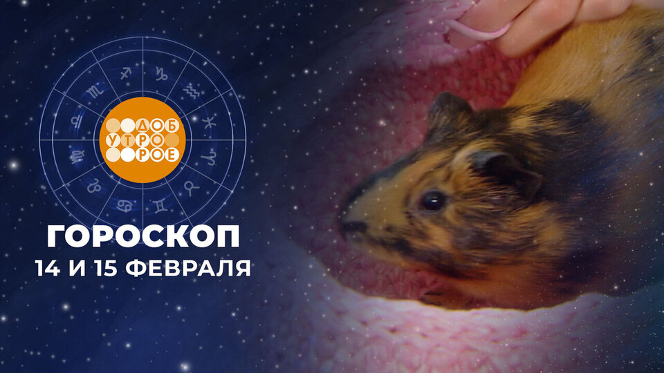 Гороскоп на 14 и 15 февраля. Доброе утро. Суббота. Фрагмент выпуска от 14.02.2026